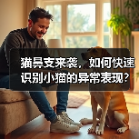 猫鼻支来袭，如何快速识别小猫的异常表现？