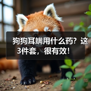 狗狗耳螨用什么药？这3件套，很有效！