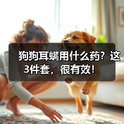 狗狗耳螨用什么药?这3件套,很有效!(图4) 狗狗耳螨用什么药?这3件套,很有效!(图4)