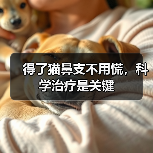 得了猫鼻支不用慌，科学治疗是关键