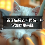 得了猫鼻支不用慌,科学治疗是关键(图2) 得了猫鼻支不用慌,科学治疗是关键(图2)