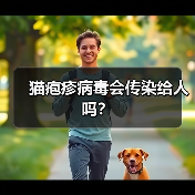 猫疱疹病毒会传染给人吗?(图4) 猫疱疹病毒会传染给人吗?(图4)