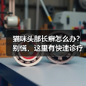猫咪头部长癣怎么办?别慌,这里有快速诊疗方法(图1) 猫咪头部长癣怎么办?别慌,这里有快速诊疗方法(图1)
