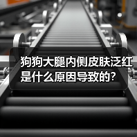 狗狗大腿内侧皮肤泛红是什么原因导致的?(图1) 狗狗大腿内侧皮肤泛红是什么原因导致的?(图1)