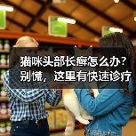 猫咪头部长癣怎么办?别慌,这里有快速诊疗方法(图2) 猫咪头部长癣怎么办?别慌,这里有快速诊疗方法(图2)