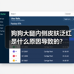 狗狗大腿内侧皮肤泛红是什么原因导致的?(图4) 狗狗大腿内侧皮肤泛红是什么原因导致的?(图4)