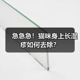 急急急!猫咪身上长湿疹如何去除?(图1) 急急急!猫咪身上长湿疹如何去除?(图1)