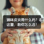 猫咪皮炎用什么药?看这里,教你怎么选!(图2) 猫咪皮炎用什么药?看这里,教你怎么选!(图2)