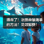 得救了!治猫癣最简单的方法!见效超快!(图1) 得救了!治猫癣最简单的方法!见效超快!(图1)
