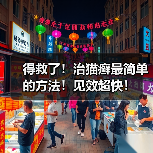 得救了!治猫癣最简单的方法!见效超快!(图2) 得救了!治猫癣最简单的方法!见效超快!(图2)
