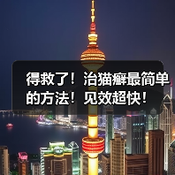 得救了!治猫癣最简单的方法!见效超快!(图4) 得救了!治猫癣最简单的方法!见效超快!(图4)