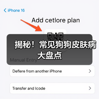 揭秘!常见狗狗皮肤病大盘点(图1) 揭秘!常见狗狗皮肤病大盘点(图1)