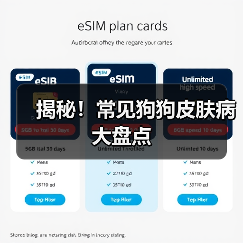 揭秘!常见狗狗皮肤病大盘点(图2) 揭秘!常见狗狗皮肤病大盘点(图2)