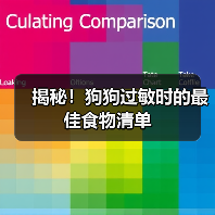 揭秘!狗狗过敏时的最佳食物清单(图3) 揭秘!狗狗过敏时的最佳食物清单(图3)