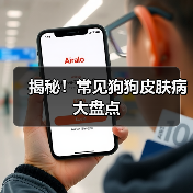 揭秘!常见狗狗皮肤病大盘点(图4) 揭秘!常见狗狗皮肤病大盘点(图4)