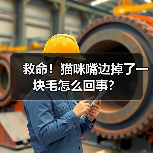 救命!猫咪嘴边掉了一块毛怎么回事?(图4) 救命!猫咪嘴边掉了一块毛怎么回事?(图4)