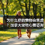 为什么你的宠物会焦虑?加拿大宠物心理咨询师教你如何解决(图1) 为什么你的宠物会焦虑?加拿大宠物心理咨询师教你如何解决(图1)