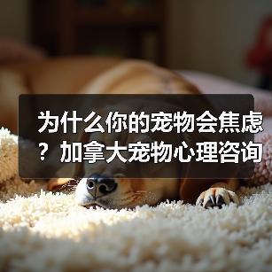 为什么你的宠物会焦虑?加拿大宠物心理咨询师教你如何解决(图2) 为什么你的宠物会焦虑?加拿大宠物心理咨询师教你如何解决(图2)
