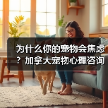 为什么你的宠物会焦虑?加拿大宠物心理咨询师教你如何解决(图3) 为什么你的宠物会焦虑?加拿大宠物心理咨询师教你如何解决(图3)