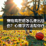 宠物离世后怎么走出悲伤?心理学方法帮你疗愈(图1) 宠物离世后怎么走出悲伤?心理学方法帮你疗愈(图1)