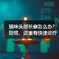 猫咪头部长癣怎么办?别慌,这里有快速诊疗方法(图3) 猫咪头部长癣怎么办?别慌,这里有快速诊疗方法(图3)