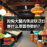 狗狗大腿内侧皮肤泛红是什么原因导致的?(图1) 狗狗大腿内侧皮肤泛红是什么原因导致的?(图1)