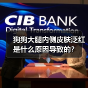 狗狗大腿内侧皮肤泛红是什么原因导致的?(图2) 狗狗大腿内侧皮肤泛红是什么原因导致的?(图2)