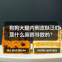 狗狗大腿内侧皮肤泛红是什么原因导致的?(图3) 狗狗大腿内侧皮肤泛红是什么原因导致的?(图3)