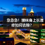 急急急!猫咪身上长湿疹如何去除?(图4) 急急急!猫咪身上长湿疹如何去除?(图4)
