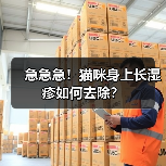 急急急!猫咪身上长湿疹如何去除?(图3) 急急急!猫咪身上长湿疹如何去除?(图3)
