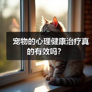 宠物的心理健康治疗真的有效吗?(图1) 宠物的心理健康治疗真的有效吗?(图1)