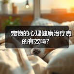 宠物的心理健康治疗真的有效吗?(图3) 宠物的心理健康治疗真的有效吗?(图3)