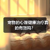 宠物的心理健康治疗真的有效吗?(图4) 宠物的心理健康治疗真的有效吗?(图4)