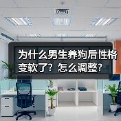 为什么男生养狗后性格变软了?怎么调整?(图1) 为什么男生养狗后性格变软了?怎么调整?(图1)
