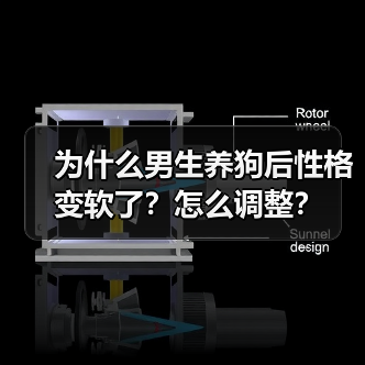 为什么男生养狗后性格变软了?怎么调整?(图2) 为什么男生养狗后性格变软了?怎么调整?(图2)