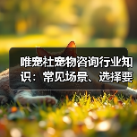 唯宠社宠物咨询行业知识：常见场景、选择要点与注意事项（图3）