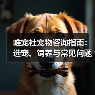 唯宠社宠物咨询指南：选宠、饲养与常见问题全解析2026（图3）