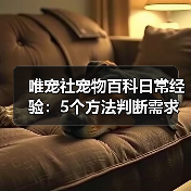 唯宠社宠物百科日常经验：5个方法判断需求与维护（图2）