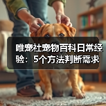 唯宠社宠物百科日常经验：5个方法判断需求与维护（图3）