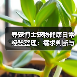 养宠博士宠物健康日常经验整理：需求判断与避坑指南（图3）