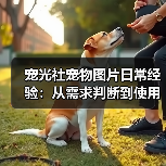 宠光社宠物图片日常经验:从需求判断到使用维护全攻略(图1) 宠光社宠物图片日常经验:从需求判断到使用维护全攻略(图1)