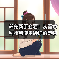 养宠新手必看！从需求判断到使用维护的宠物用品经验指南（图1）