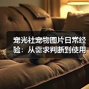 宠光社宠物图片日常经验:从需求判断到使用维护全攻略(图3) 宠光社宠物图片日常经验:从需求判断到使用维护全攻略(图3)