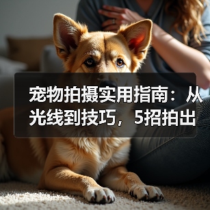 宠物拍摄实用指南:从光线到技巧,5招拍出萌宠大片(图2) 宠物拍摄实用指南:从光线到技巧,5招拍出萌宠大片(图2)