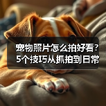 宠物照片怎么拍好看?5个技巧从抓拍到日常维护(图2) 宠物照片怎么拍好看?5个技巧从抓拍到日常维护(图2)