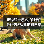 宠物照片怎么拍好看?5个技巧从抓拍到日常维护(图1) 宠物照片怎么拍好看?5个技巧从抓拍到日常维护(图1)
