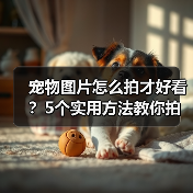 宠物图片怎么拍才好看?5个实用方法教你拍出高颜值萌宠照(图2) 宠物图片怎么拍才好看?5个实用方法教你拍出高颜值萌宠照(图2)