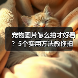 宠物图片怎么拍才好看?5个实用方法教你拍出高颜值萌宠照(图1) 宠物图片怎么拍才好看?5个实用方法教你拍出高颜值萌宠照(图1)