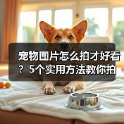 宠物图片怎么拍才好看?5个实用方法教你拍出高颜值萌宠照(图4) 宠物图片怎么拍才好看?5个实用方法教你拍出高颜值萌宠照(图4)
