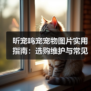 昕宠鸣宠宠物图片实用指南:选购维护与常见问题解析(图3) 昕宠鸣宠宠物图片实用指南:选购维护与常见问题解析(图3)